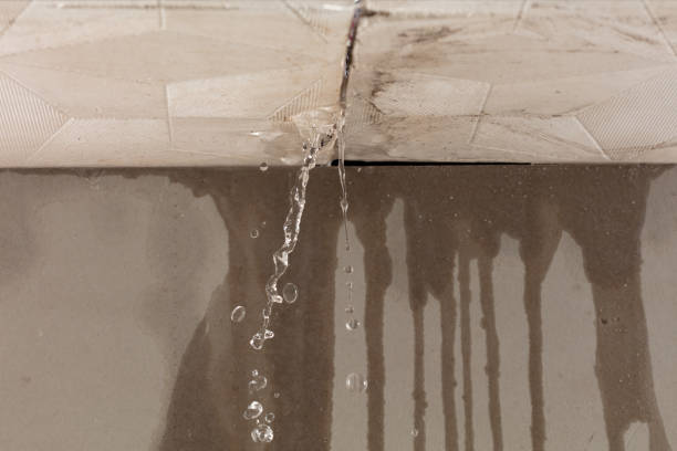 Professional Structural Drying technician working in Port Austin, MI